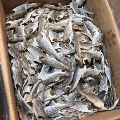 温州特产去头咸鱼干黄花鱼小黄鱼梅鱼干海鲜干货自晒农家好吃下饭