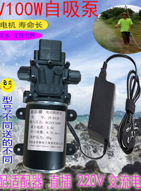 24V100W微型增压泵自吸抽水高压隔膜泵220V水泵小型直流太阳能