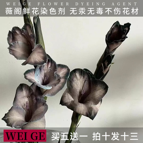 薇阁小染买五赠一鲜花专用染色剂