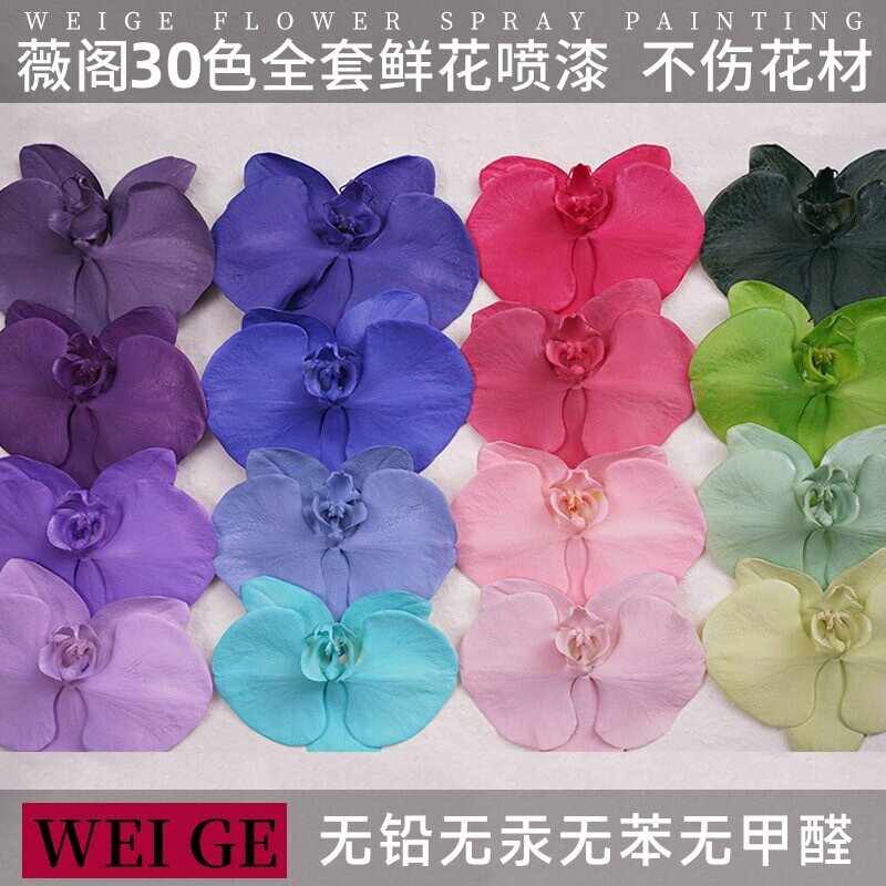 全套24色/30色鲜花专用喷漆