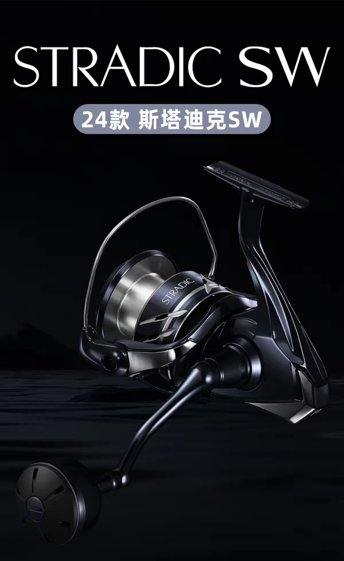 全新日行24款SHIMANO禧玛诺斯塔迪克SW4000Hg纺车轮鲅鱼刀鱼优选