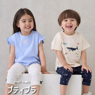 男女童装 pm纯棉T恤打底裤 原D 赔本清仓