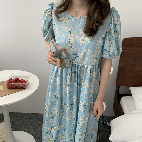 Camellia-山茶花 SCH547