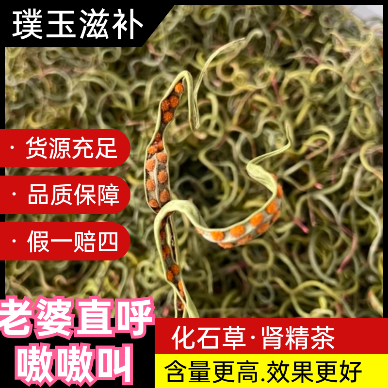 云南小叶化石草肾精茶黄金茶石韦种植中药材正品猫须草嗷嗷叫前列