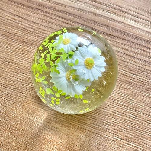 Transparent Spring Daisy Squeeze Toy, Clear TPR Floral Squis