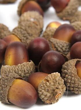 Realistic Artificial Acorns | Mixed Brown Tones Decor for DI