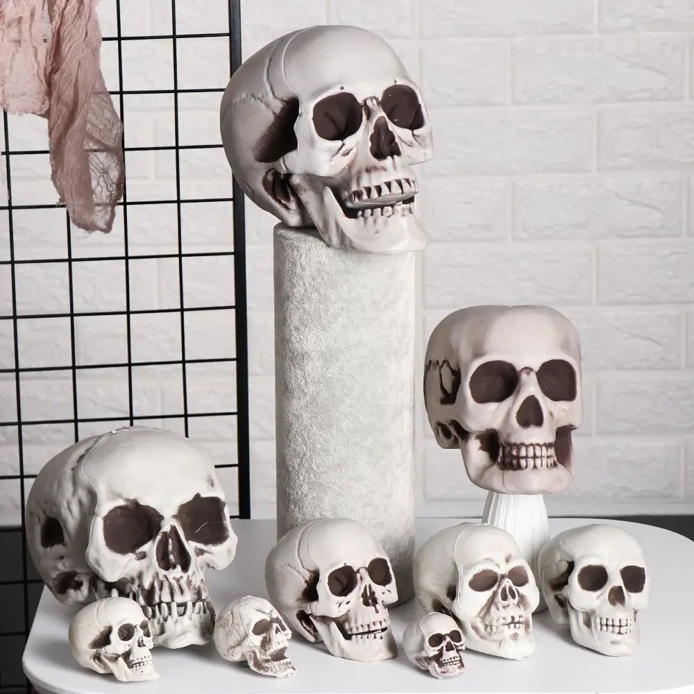 Plastic Skull Head  All Size Realistic Skull Skeleton Head f
