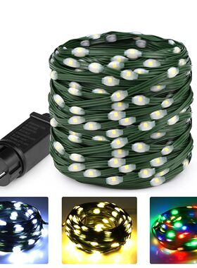 24V LED Christmas lights Green Wire Leather Fairy Lights Str
