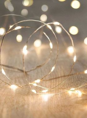 String Lights 1-20M Waterproof Wire Garland Fairy Lights Bir