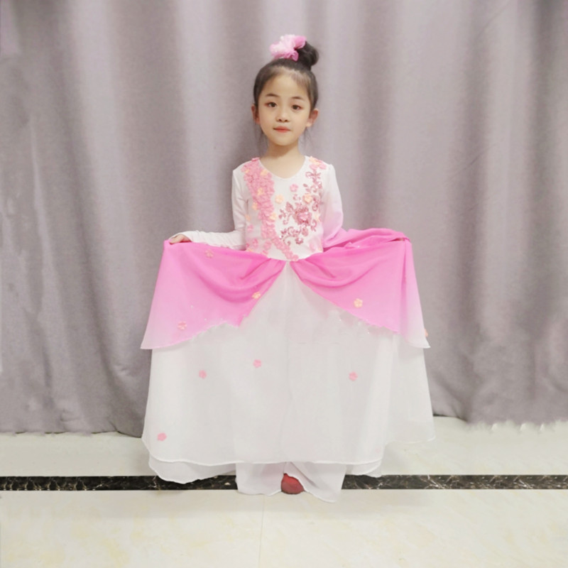 中國風舞蹈服東邊日出西邊雨演出服古典舞舞衣桃李杯小舞者群舞服