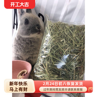 迷宠舍加拿大提草一番二番提摩西兔子荷兰猪龙猫磨牙加提干草500g