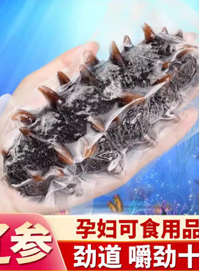 大连产地直发大连即食海参开袋即吃500g鲜活辽宁刺参顺丰