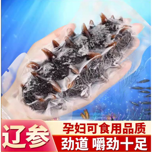 大连产地直发大连即食海参开袋即吃500g鲜活辽宁刺参顺丰