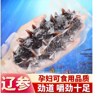 大连产地直发大连即食海参开袋即吃500g鲜活辽宁刺参顺丰