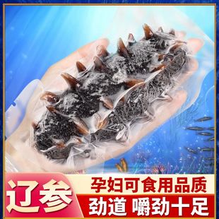 大连产地直发大连即食海参开袋即吃500g鲜活辽宁刺参顺丰