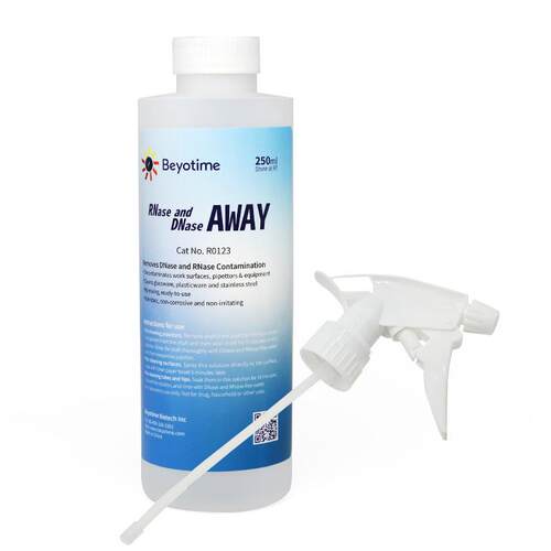 碧云天R0123RNaseandDNaseAway