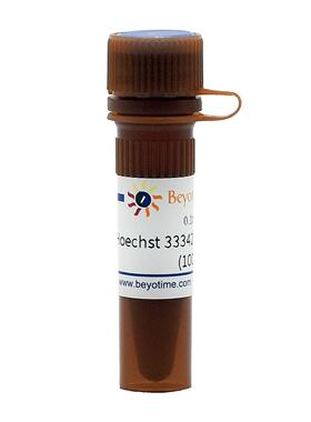 碧云天 C1027 Hoechst 33342活细胞染色液(100X)