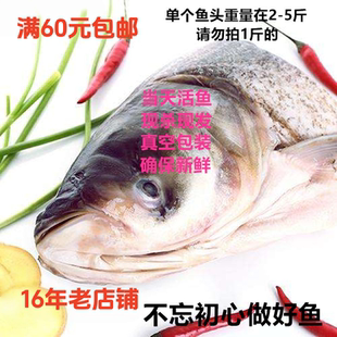 当天活鳙鱼花鲢头湖北鄂州特产胖头鱼头冬季火锅食材真空包装发出