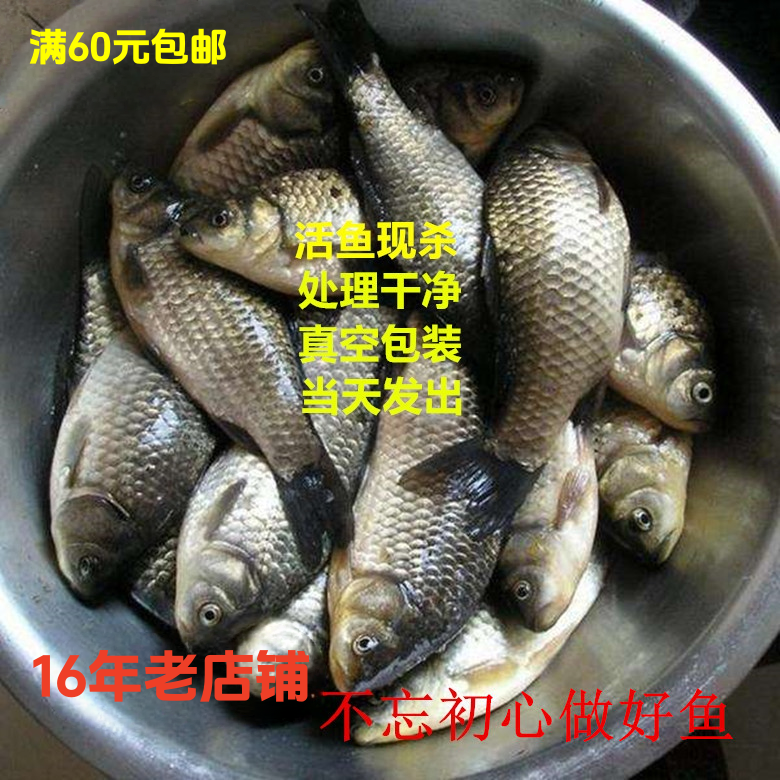 鲜活鲫鱼湖北鄂州喜头鱼活鱼处理干净当天真空包装发货500g价水产,水产肉类/新鲜蔬果/熟食,淡水鱼类,淘宝优惠券,粉丝福利购,淘宝优惠卷