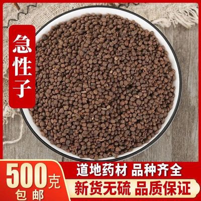 急性子中药材店铺凤仙花子金凤花子急性籽粉包邮中草药大全泡酒