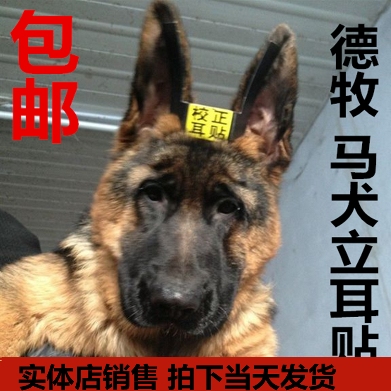 包邮德牧大丹狼青专用立耳器宠物狗立耳贴矫正器耳朵胶水用品正品