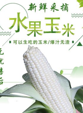 水果玉米超甜爆浆冰糖现摘即食
