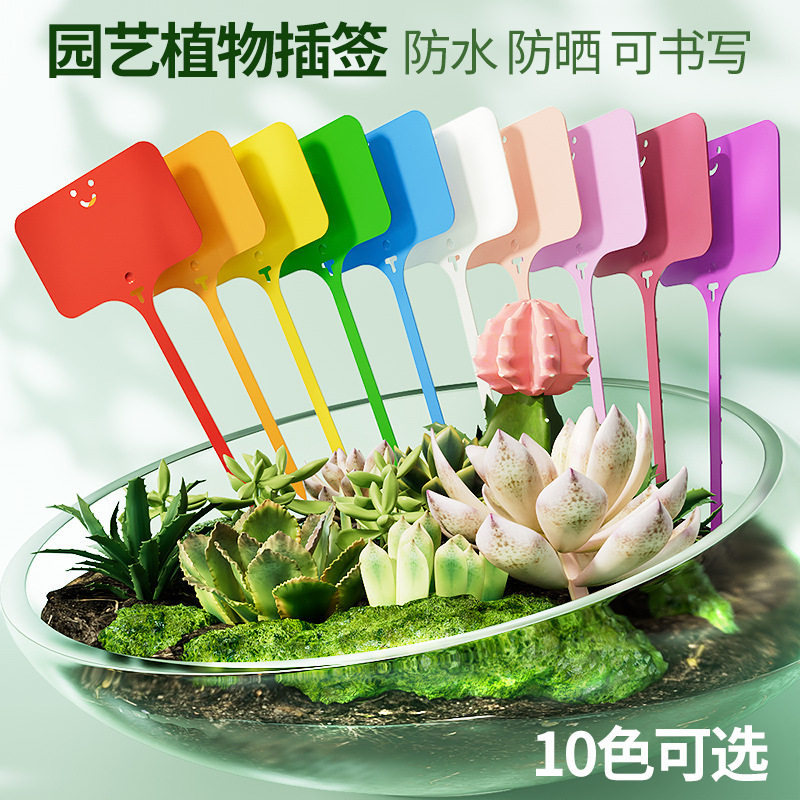 品质植物园艺花卉标签植物标签树木标签多肉标签绿植园艺