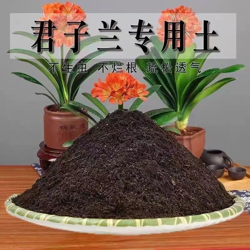 君子兰土营养土养花种绿植发酵育苗土蔬菜盆栽有机肥透气增肥疏松