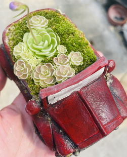 水泥汽车多肉花盆超Q水泥小汽车多肉花盆趣味汽车老爷车敞篷摆件