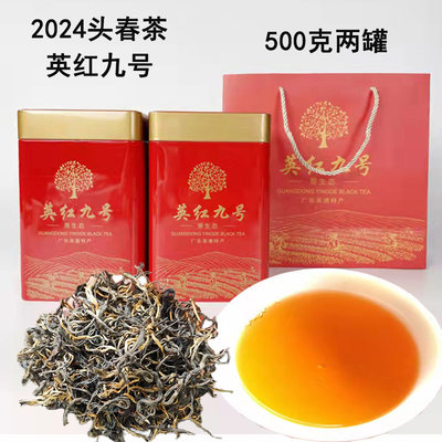 2024头春茶英红九号花香英德红茶