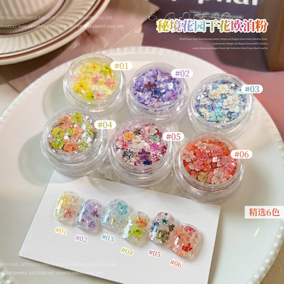 2026新款美甲DIY干花欧泊粉细闪偏光梦幻仙女云锦粉指甲亮片装饰