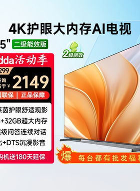 海信Vidda R65 二级节能款 4KHDR真实高清护眼网络电视65V1KD-R