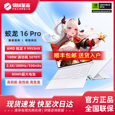 MECHREVO/机械革命 蛟龙 蛟龙16Pro