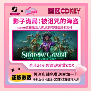 影子诡局 被诅咒的海盗 Steam正版CDKey 国区激活码 下单现货秒发