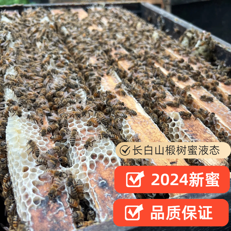 长白山森林椴树原蜜正宗东北椴树蜜纯正天然液态蜜手工原蜜