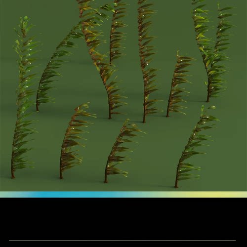 DAZ C4D FBX STL海草海藻水底海底植物海带三维3D模型素材文件