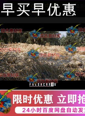 虚幻5ue5影视写实草原山地山脉风吹麦穗河道水塘水池树木森林环境