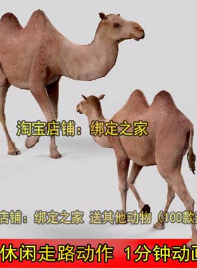 maya 1分钟动画双峰骆驼3dmax动物模型骨骼蒙皮走路动作fbx ue4
