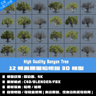 C4D高精度树木榕树3D模型古树大树FBX Blender树木三维素材4K贴图
