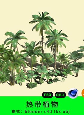 三维热带植物模型3d素材灌木blender/c4d/fbx/obj椰子树绿色植物
