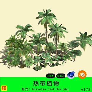 fbx obj椰子树绿色植物 c4d 三维热带植物模型3d素材灌木blender