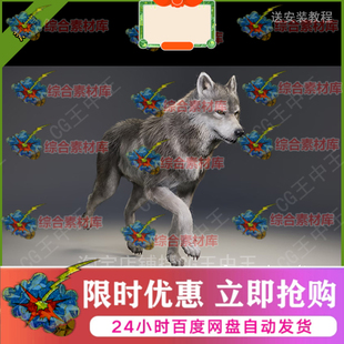 UE5虚幻5影视级写实动物灰狼黑狼毛皮毛发带动画角色绑定跑跳模型