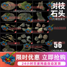 56款森林植物断树根树枝树干岩石树墩石头C4D模型3D设计素材AM191