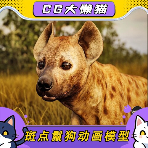 UE5虚幻4.26-5.7+ Animalia - Spotted Hyena (male) 斑鬣狗动画