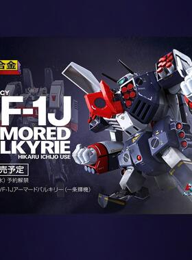 现货 万代 DX超合金 日版 超时空要塞 VF-1J AP包 一条辉机 套装