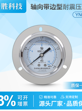 YN60ZT 1.6MPa 轴向带边耐震压力表 不锈钢外壳 面板式抗震压力表