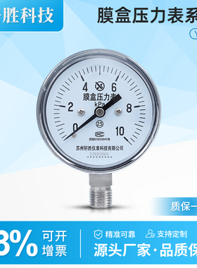 YE60 膜盒压力表 锅炉煤气通风压力表 M14X1.5 膜盒式微压压力表