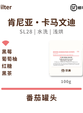 扑满咖啡 肯尼亚卡马文迪SL28 精品手冲单品咖啡豆 浅烘焙 100g