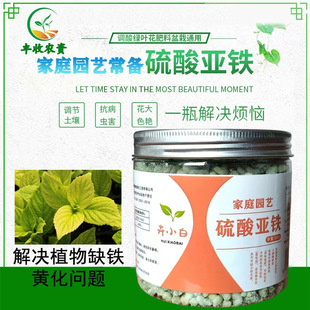 硫酸亚铁花肥料喜酸性月季花栀子花绣球盆栽植物防黄叶专用水溶肥