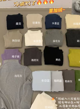 the wave-冬2025上新韩国简约基础款显瘦高领加厚磨毛打底衫Z7312